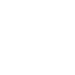 Drone Money Icon
