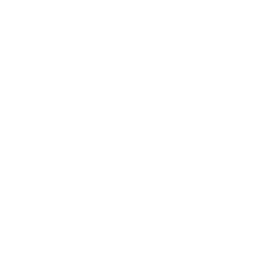 Drone Moon Icon