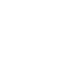 Drone Orbit Icon