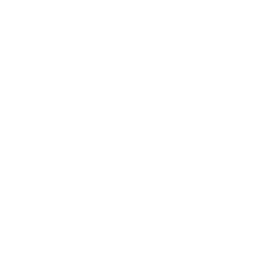 Drone Plug In Icon