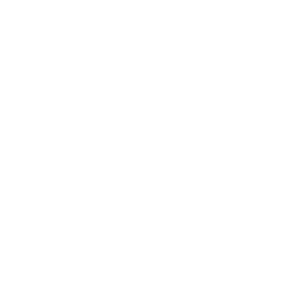 Drone Processor Icon