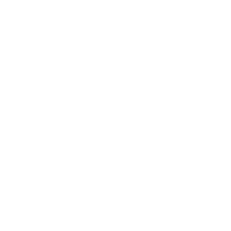 Drone Right Icon