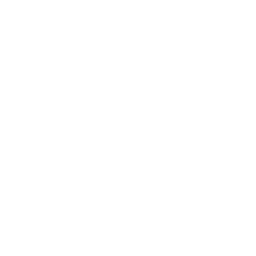 Drone Search Icon