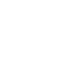 Drone Seed Icon