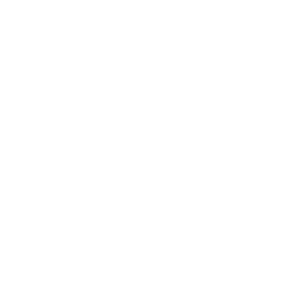 Drone Shield Icon