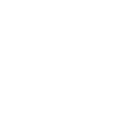 Drone Signal Out Icon