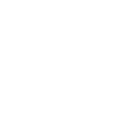 Drone Star Icon