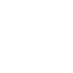 Drone Sun Icon