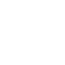 Drone Swarm Icon