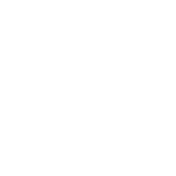Drone Target Icon