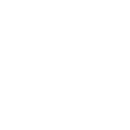 Drone Unlock Icon