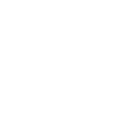 Drone Up Left Icon