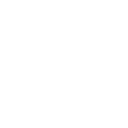 Drone Up Right Icon