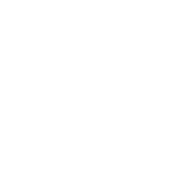 Drone User Icon
