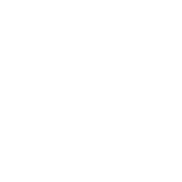 Drone Wings Icon