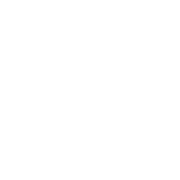 Ear Sound Drone Icon