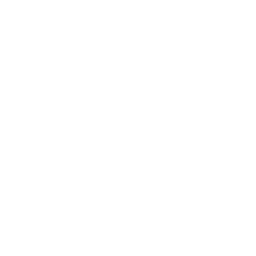 Eiffel Tower Drone Icon