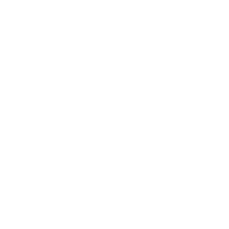 Elevation Layers Icon