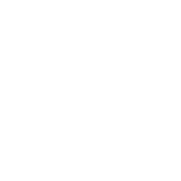 Elevation Mind Icon