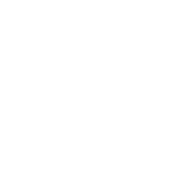 Female Part 107 Icon