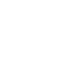 Female Section 333 Icon