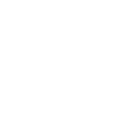 Field Corn Drone Icon