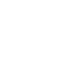 Field Drone Seed Icon