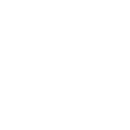 Field Drone Icon
