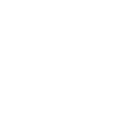 File Checkmark Icon