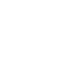 File DEM Icon
