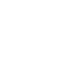 File Drone Icon