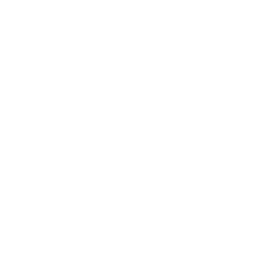 File DWG Icon