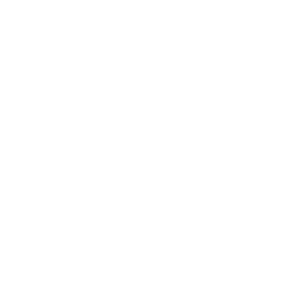 File LAS Icon