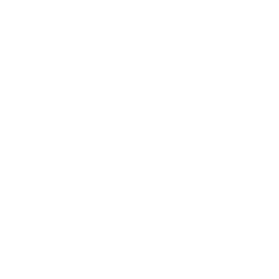 File RAW Icon