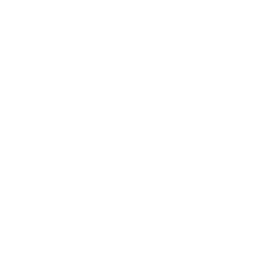 File Sync Icon
