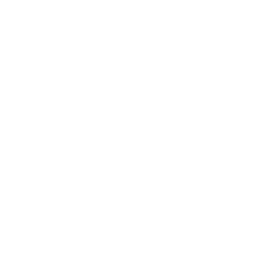 Fixed Wing Drone Top Icon