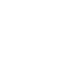 Fixed Wing Drone Variant Top Icon