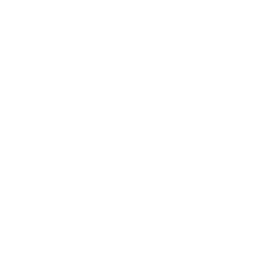 Fixed Wing Drone Variant Icon