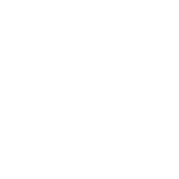 Flood Disaster Drone Deliver Medicine Icon