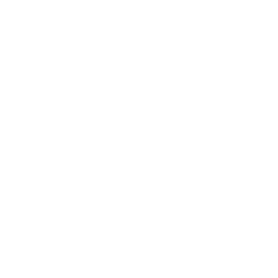 Flood Disaster Drone Icon