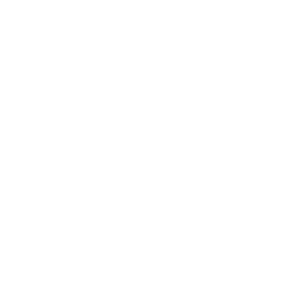 Folder Building Icon