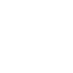 Folder DEM Icon
