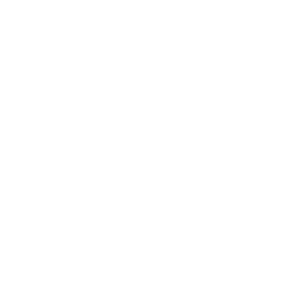 Folder DWG Icon