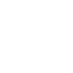 Folder DXF Icon