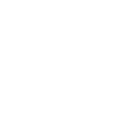 Folder Health Icon