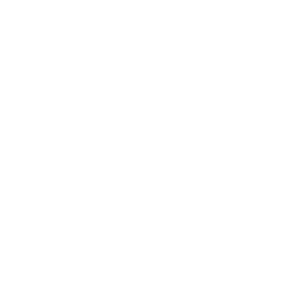 Folder House Icon