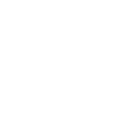 Folder LAS Icon
