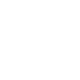 Folder MP4 Icon