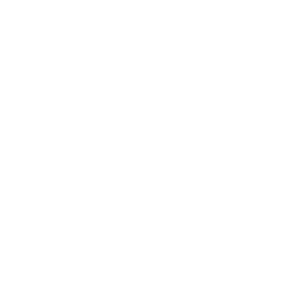Folder OBJ Icon