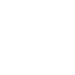Folder PDF Icon